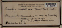 Image Associated With the Occurence